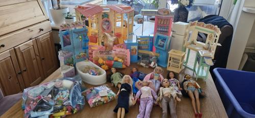 Doos vol Barbie poppen/spullen