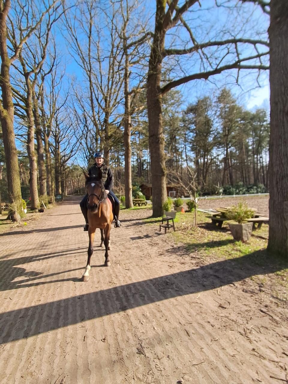 Verzorg paard gezocht stalling gevraagd