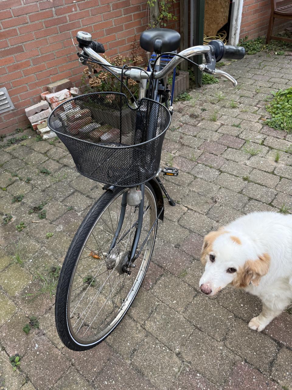 Gazelle damesfiets