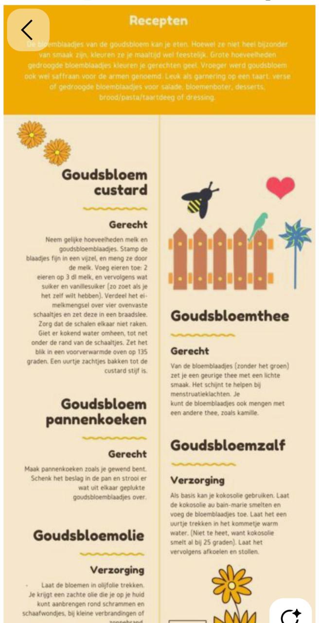 Diverse kruiden plantjes 🌱