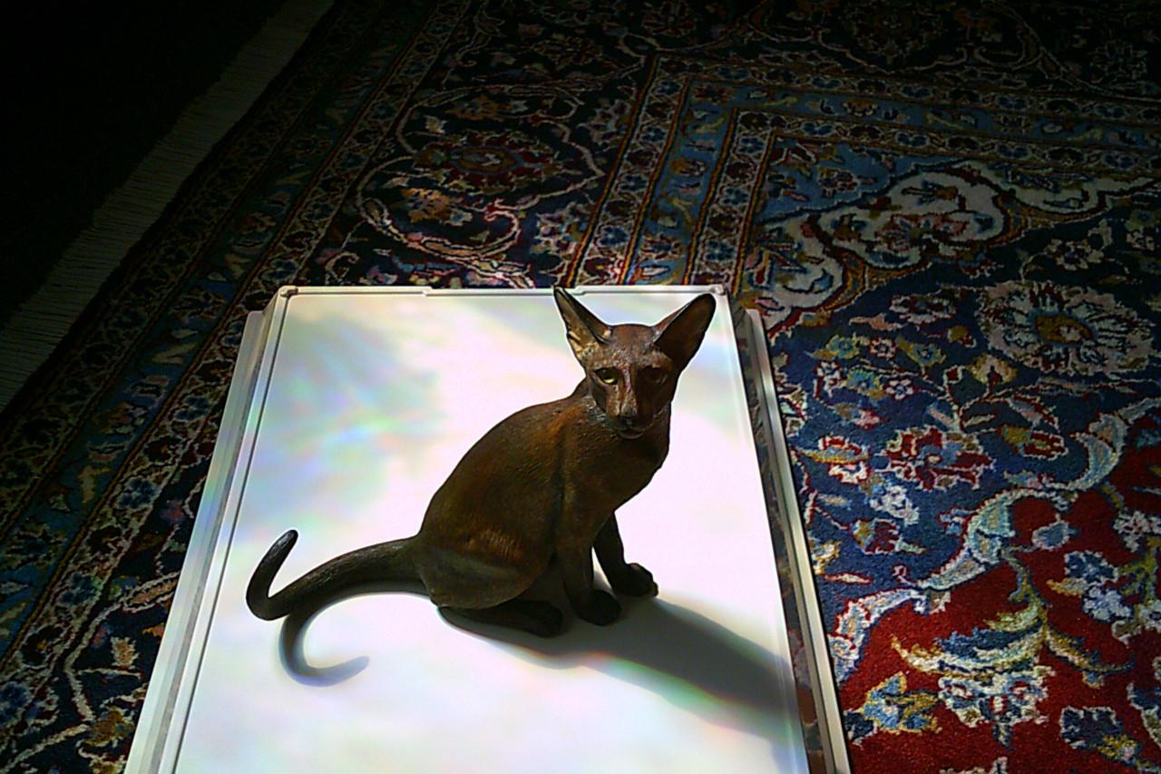 LEVENSECHT beeld SIAMESE KAT - uitgave van Fine Art ...