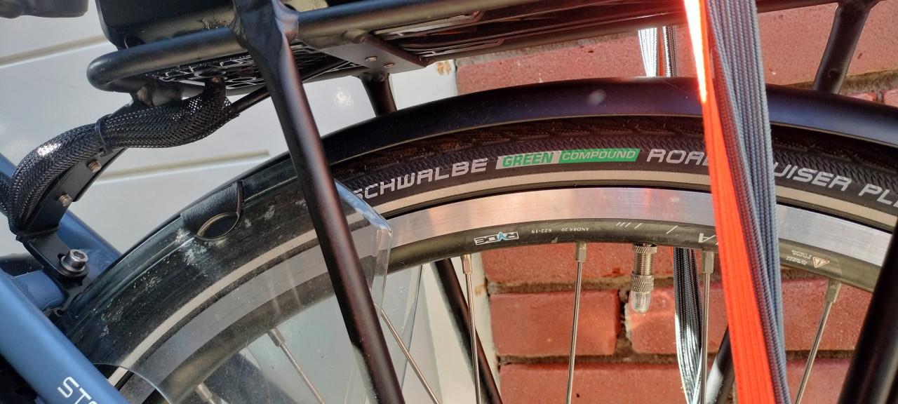 Stella Livorno steps