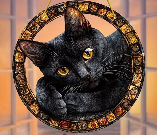 Raamhanger poes - kat