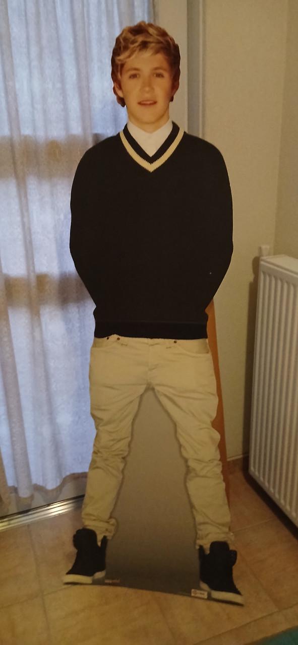 Niall Horan levensgrote karton stand