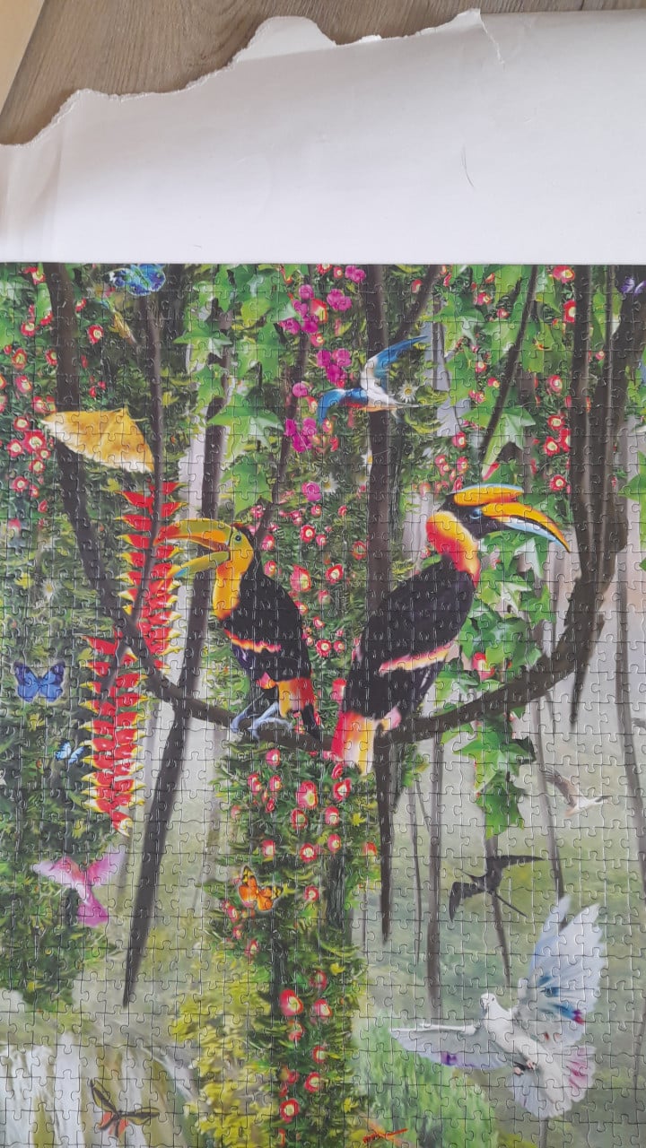 Educa legpuzzel jungle 33600 stukjes