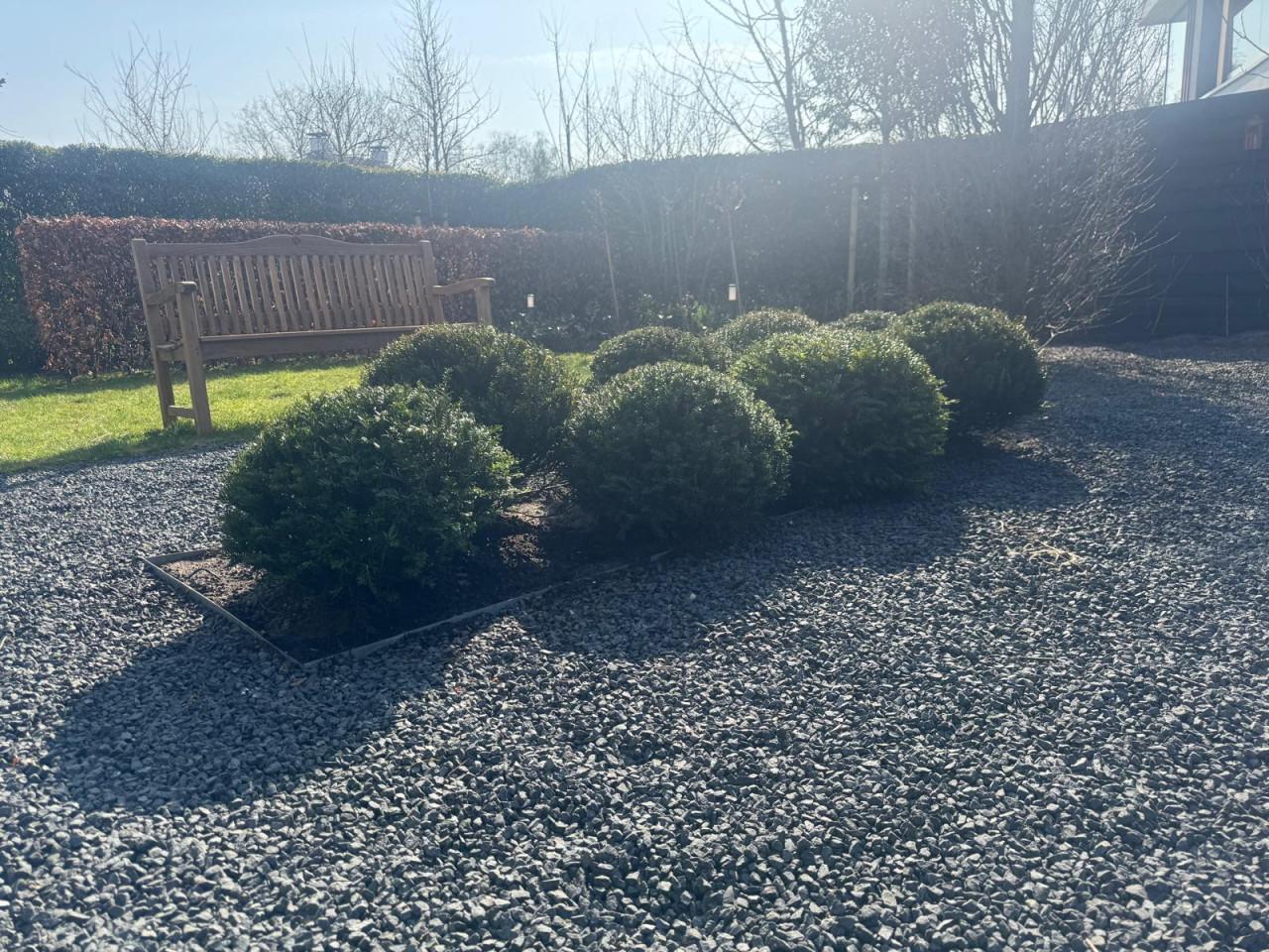 Schitterende taxusbollen in verschillende maten