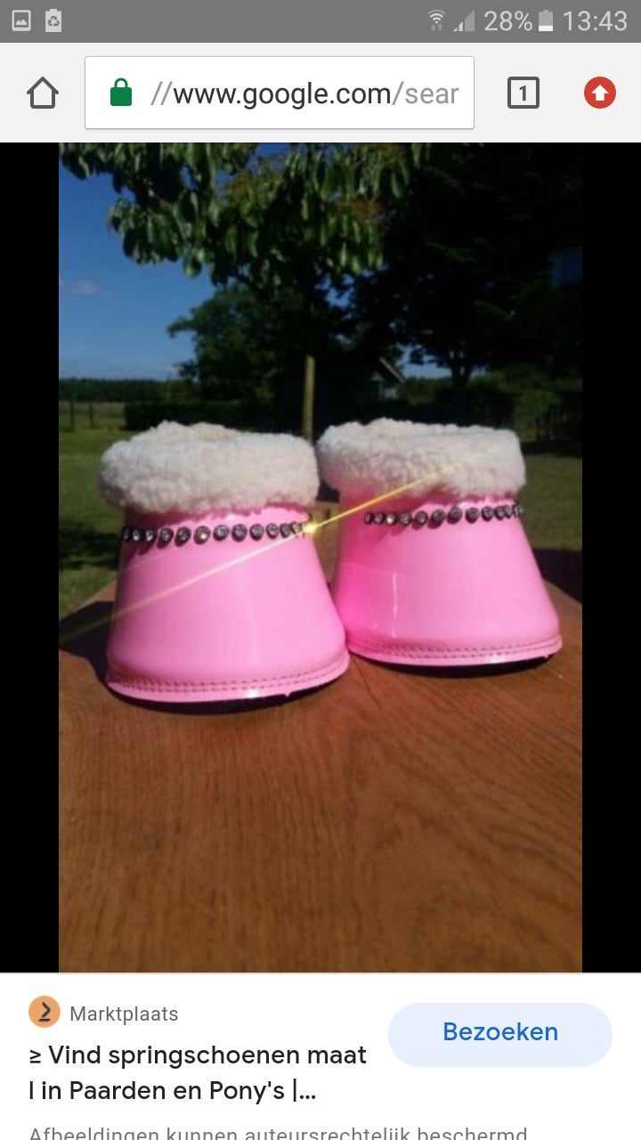 Bont springschoenen