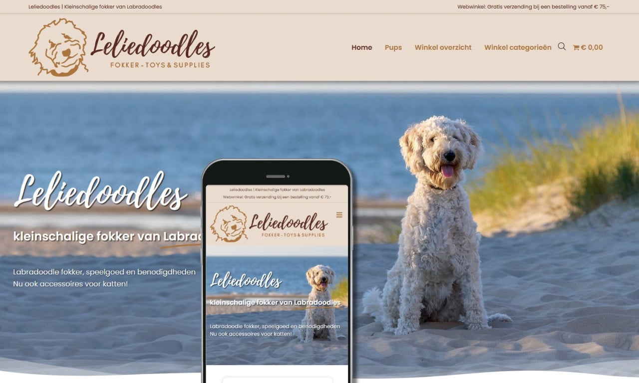 Heeft u een website nodig? MJ-Webdesign helpt u graag verder!
