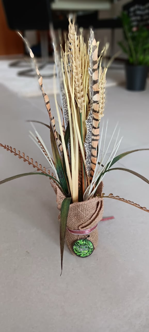 DECORATIE (voor eventueel in strandhuisje)