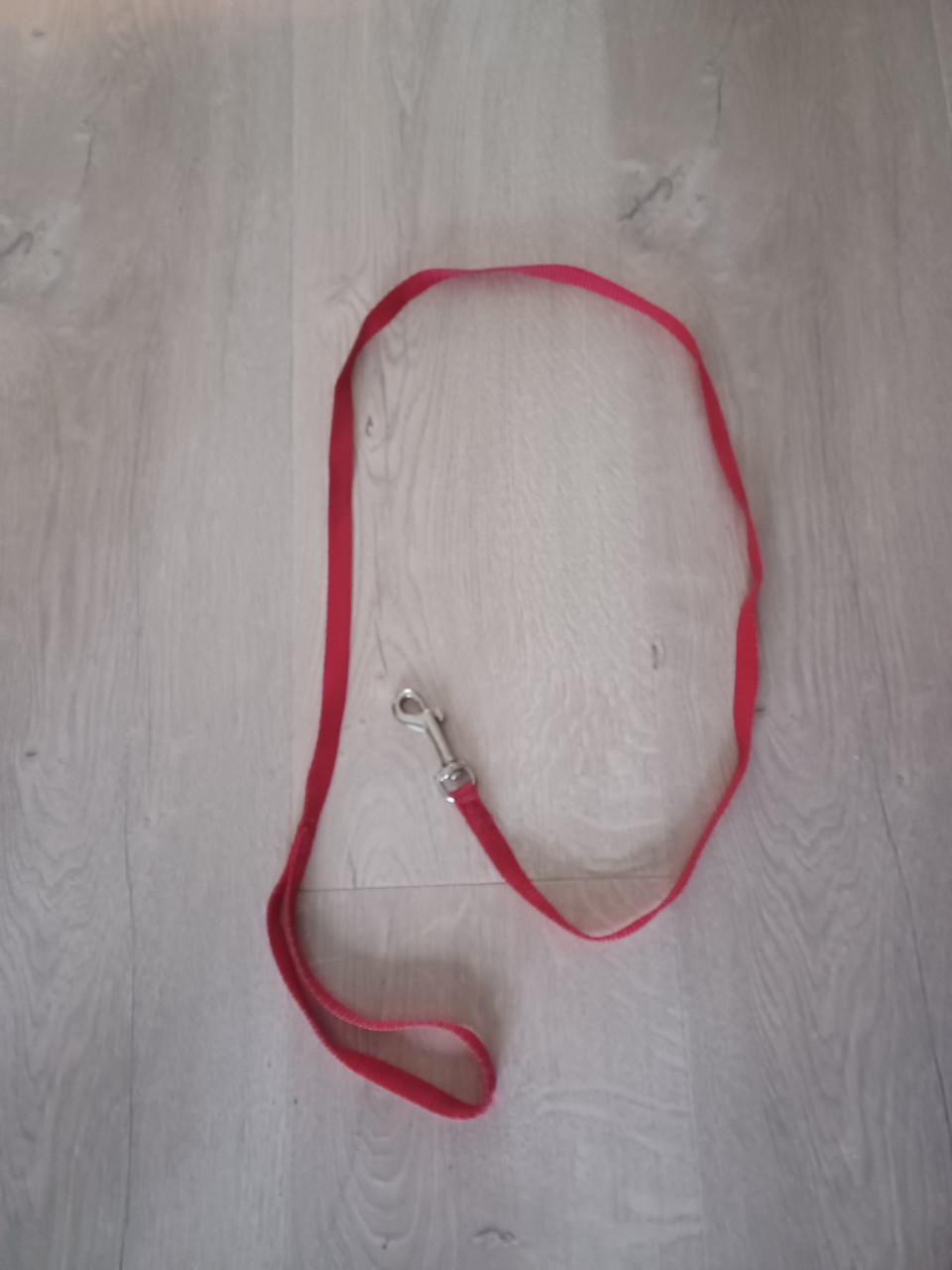 Hondenjasjes en riemen