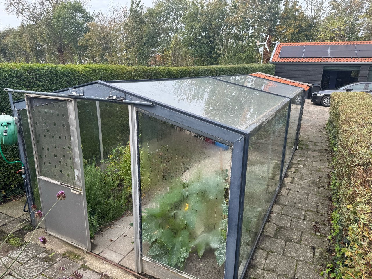 Groenten tuinkas
