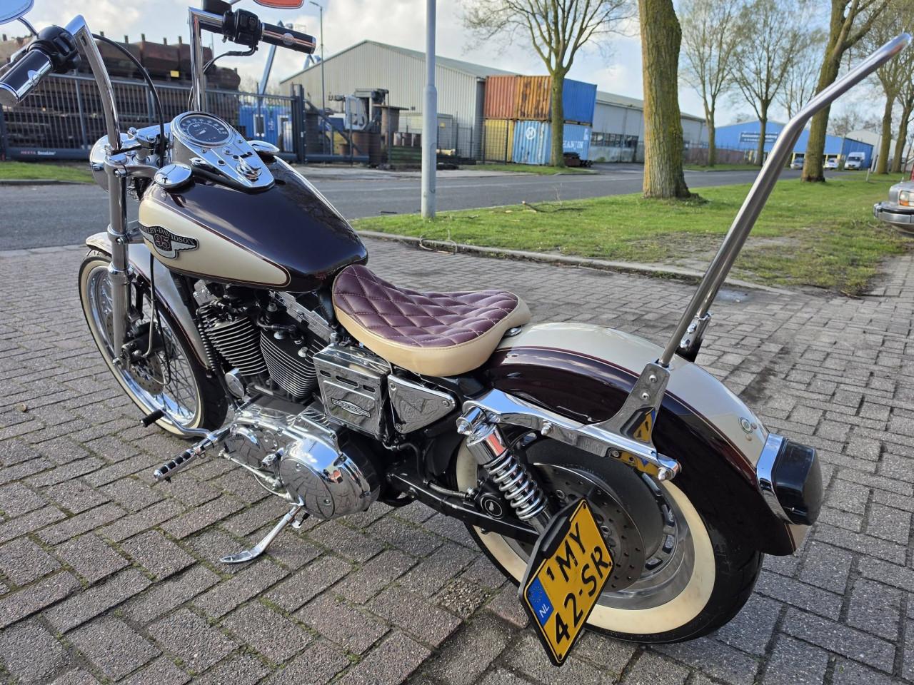 Harley-Davidson 1200😍 Custom Sportster – 95th Anniversary Edition