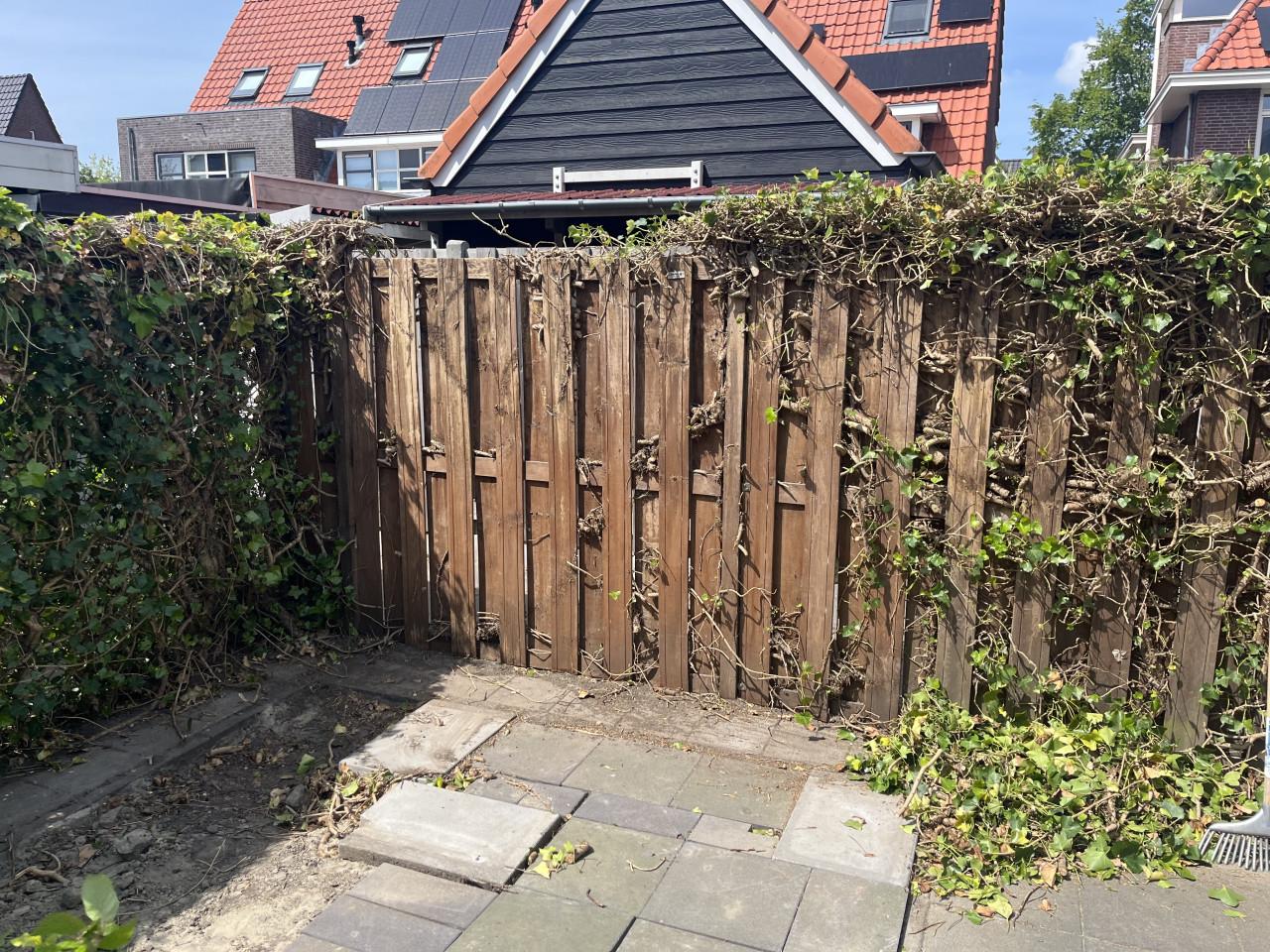 Hardhoutenschutting circa 18m inclusief poort en palen