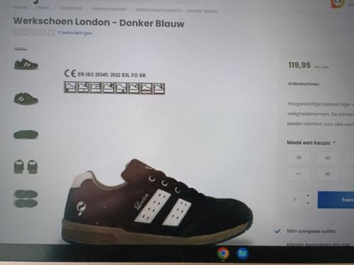 Werkschoenen