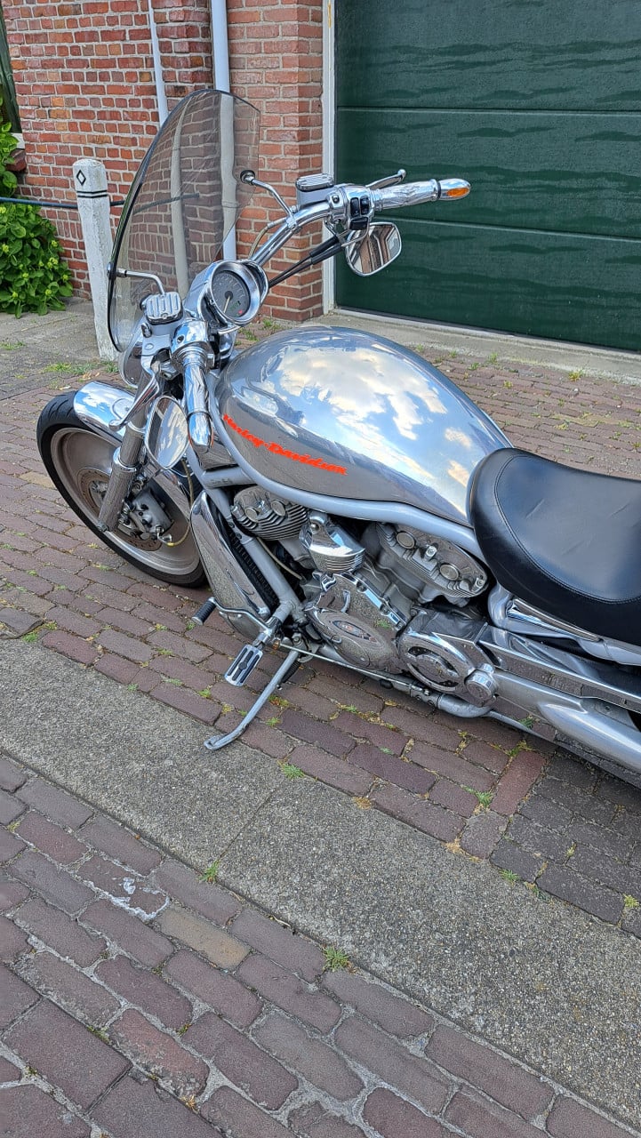 Ze start. Ze gromt. Ze wil asfalt. Geen excuses meer. HD V-Rod VRSCA