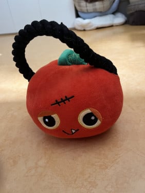 Hondenknuffel pompoen