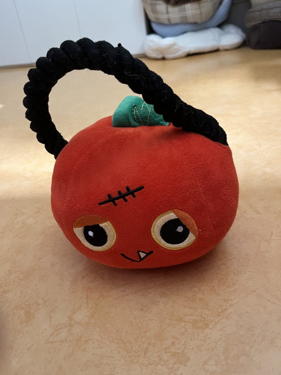 Hondenknuffel pompoen