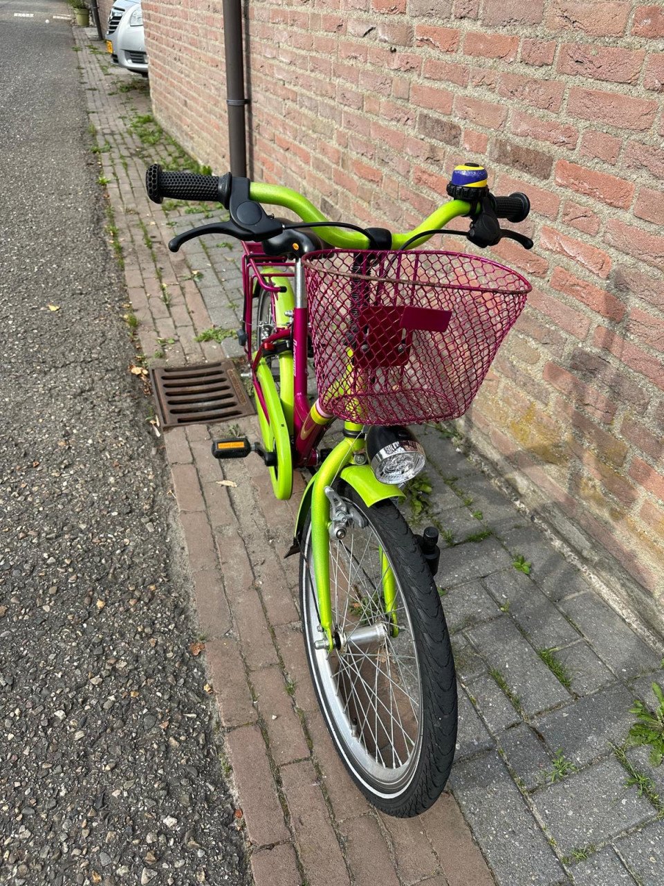 Meisjes fiets