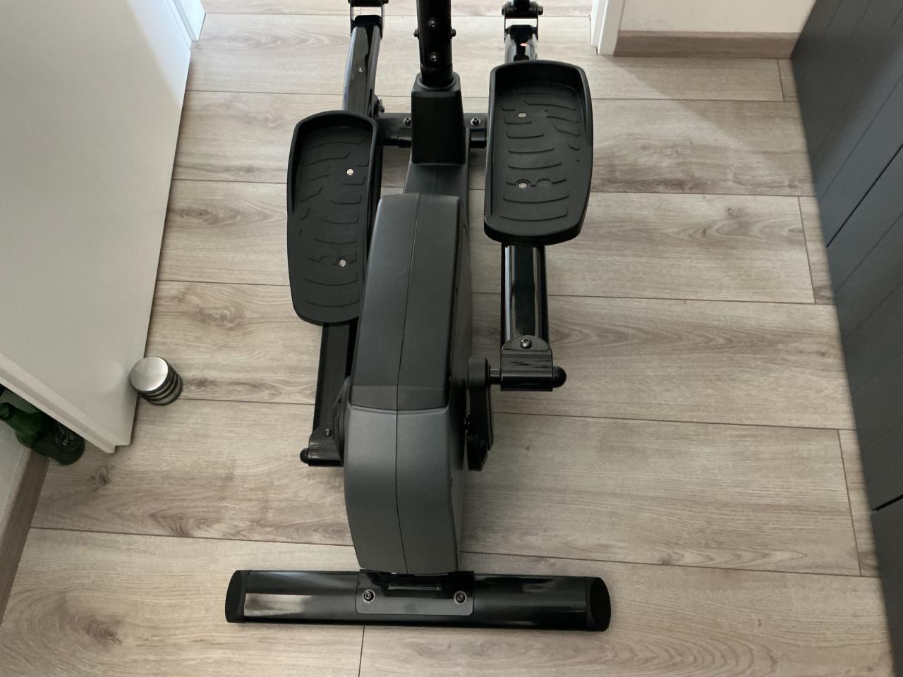 Sport