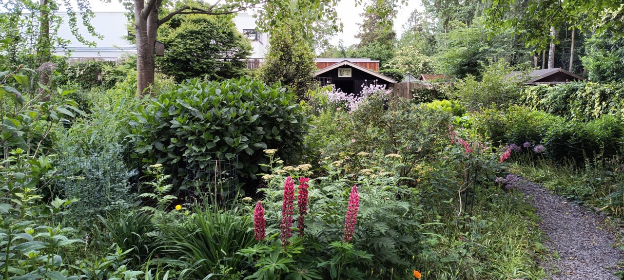 Open Tuindagen:  8 + 9 juni van 10:00 tot 18:00 ** GRATIS inkom. **