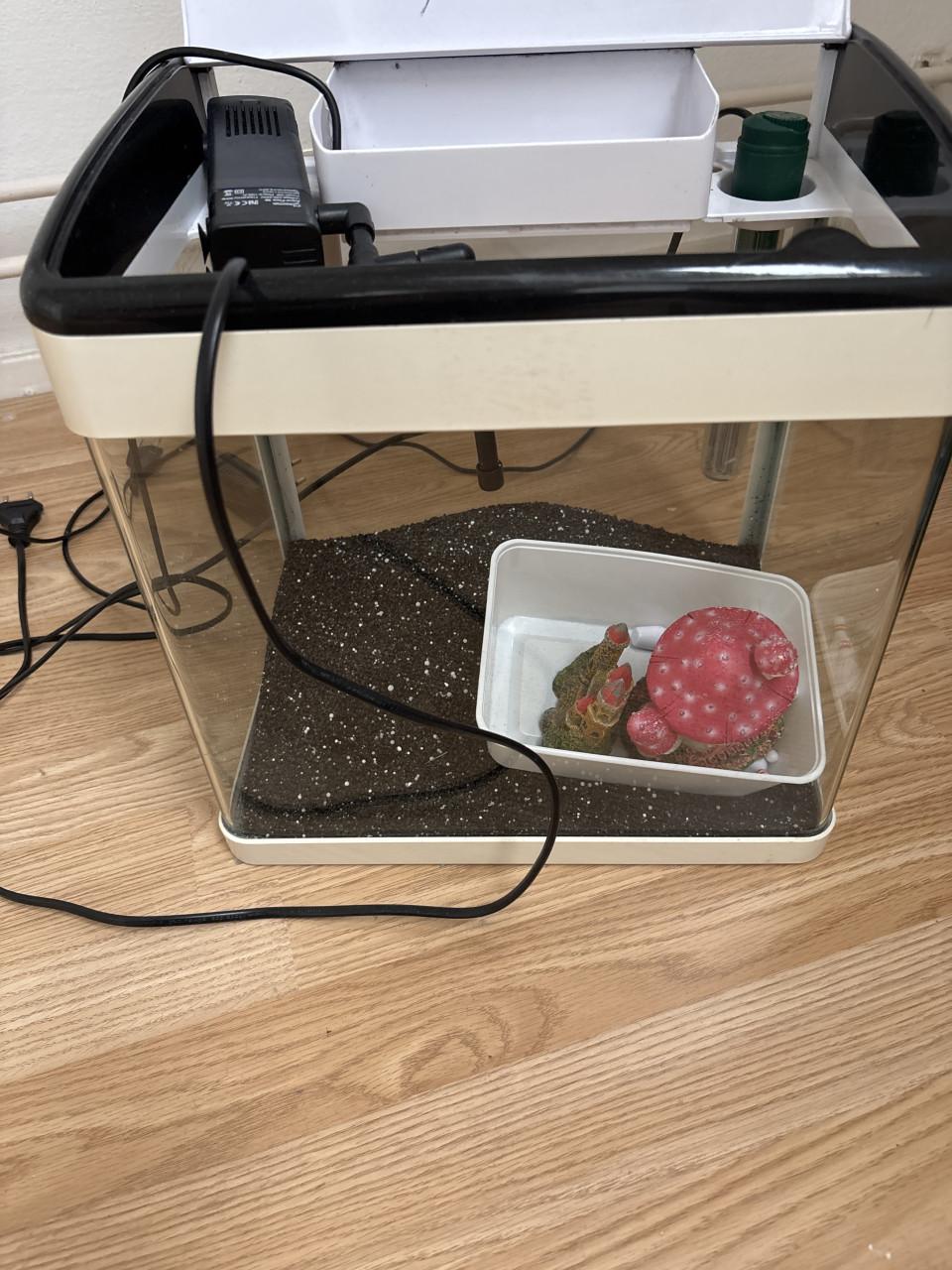 Aquarium