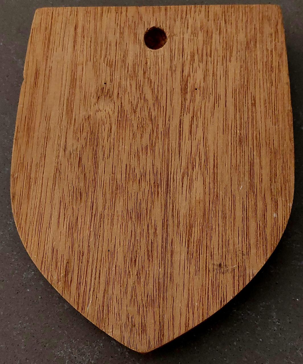 Vintage Feijenoord Feyenoord houten wandschildje