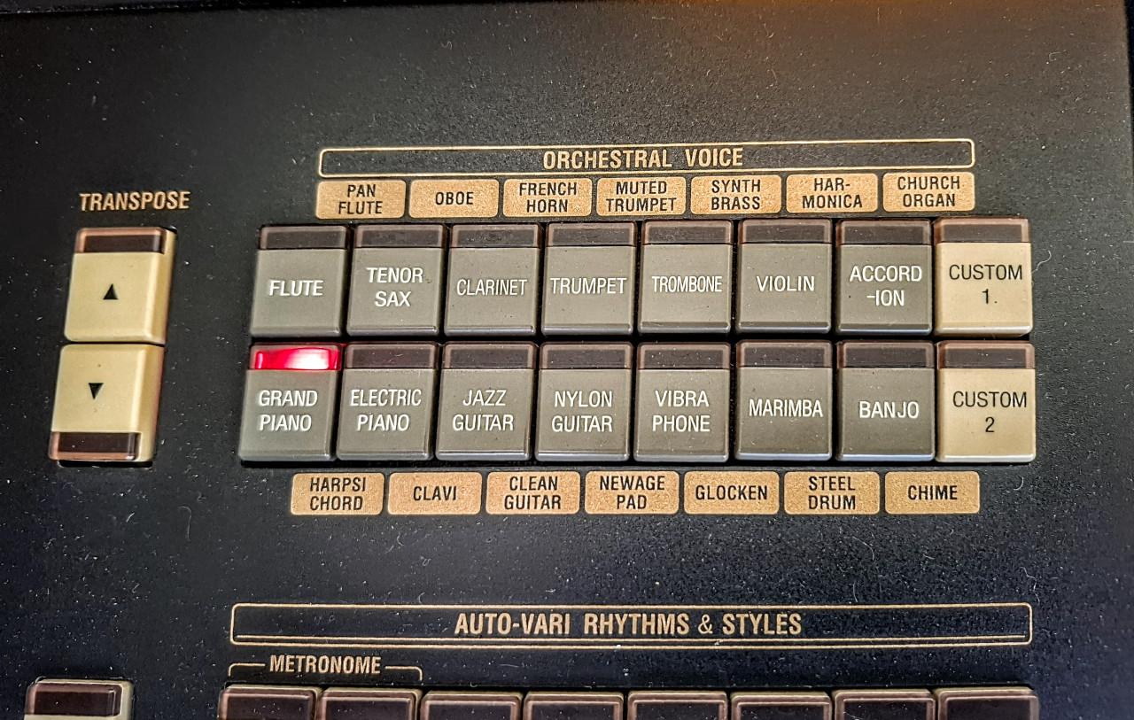 ORGEL HAMMOND XH-200 MIDI