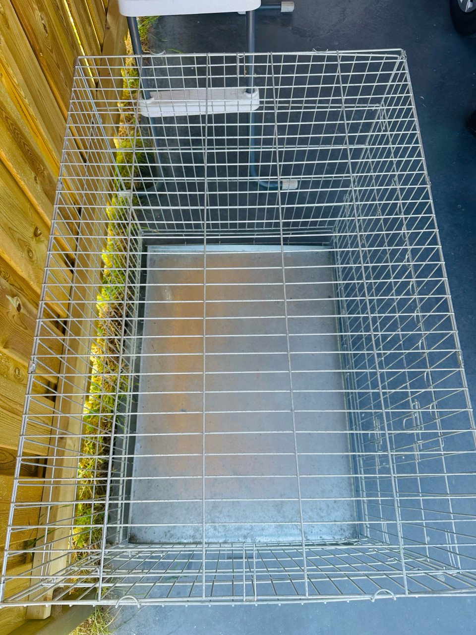 Grote hondenbench