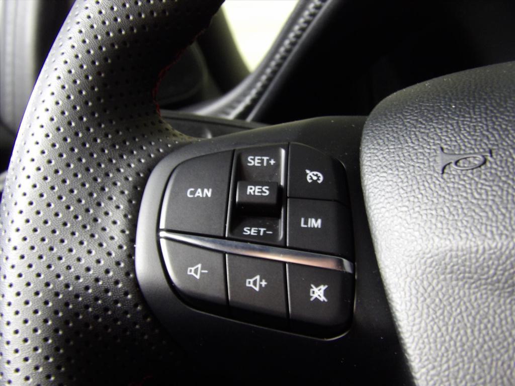 Ford Puma 1.0i ecoboost hybrid 125pk aut st-line x