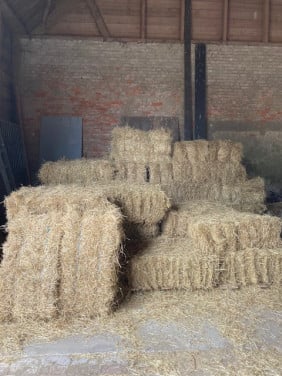Koopje: Kleine baaltjes Weidehooi