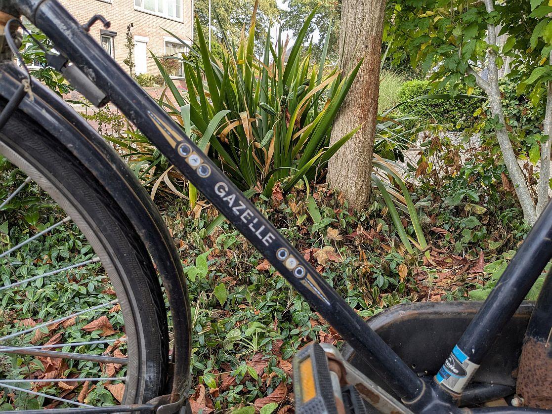 Klassieke Gazelle herenfiets, hoog frame