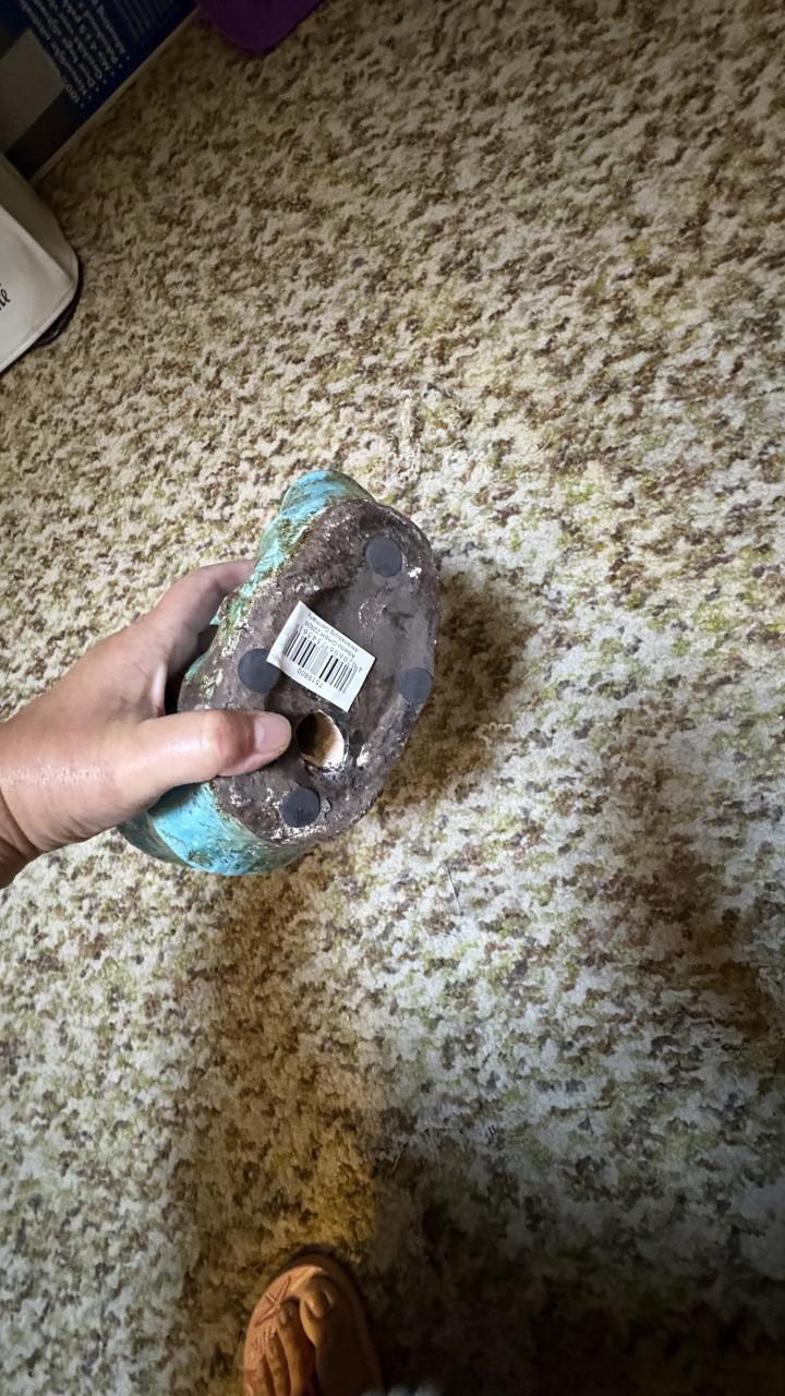 Decoratief Zeepaardje - Turquoise Keramiek
