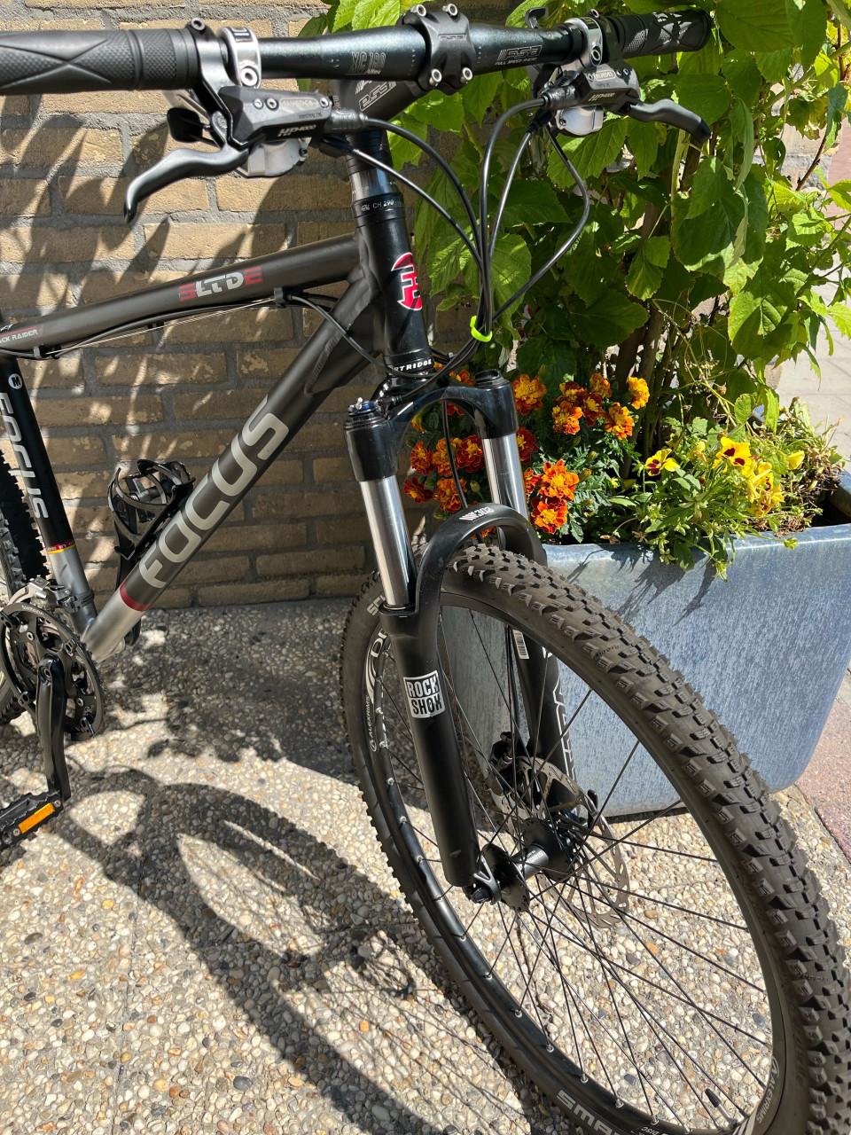 Focus MTB