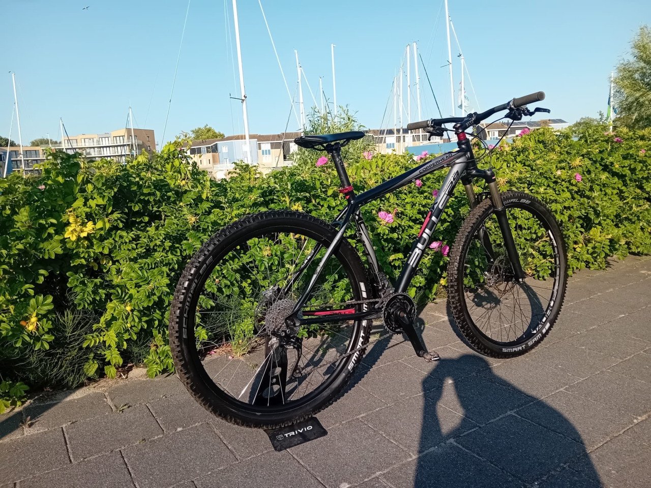 Stoere BULLS MTB