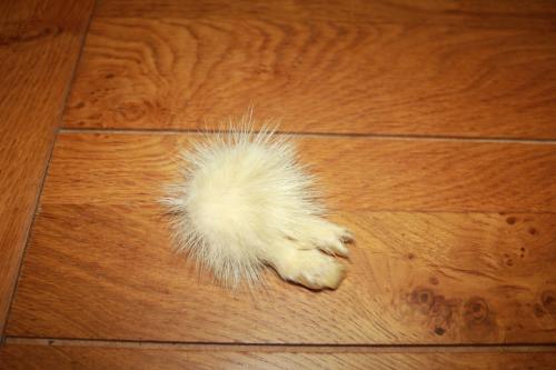 Wit bont met pootjes speldje