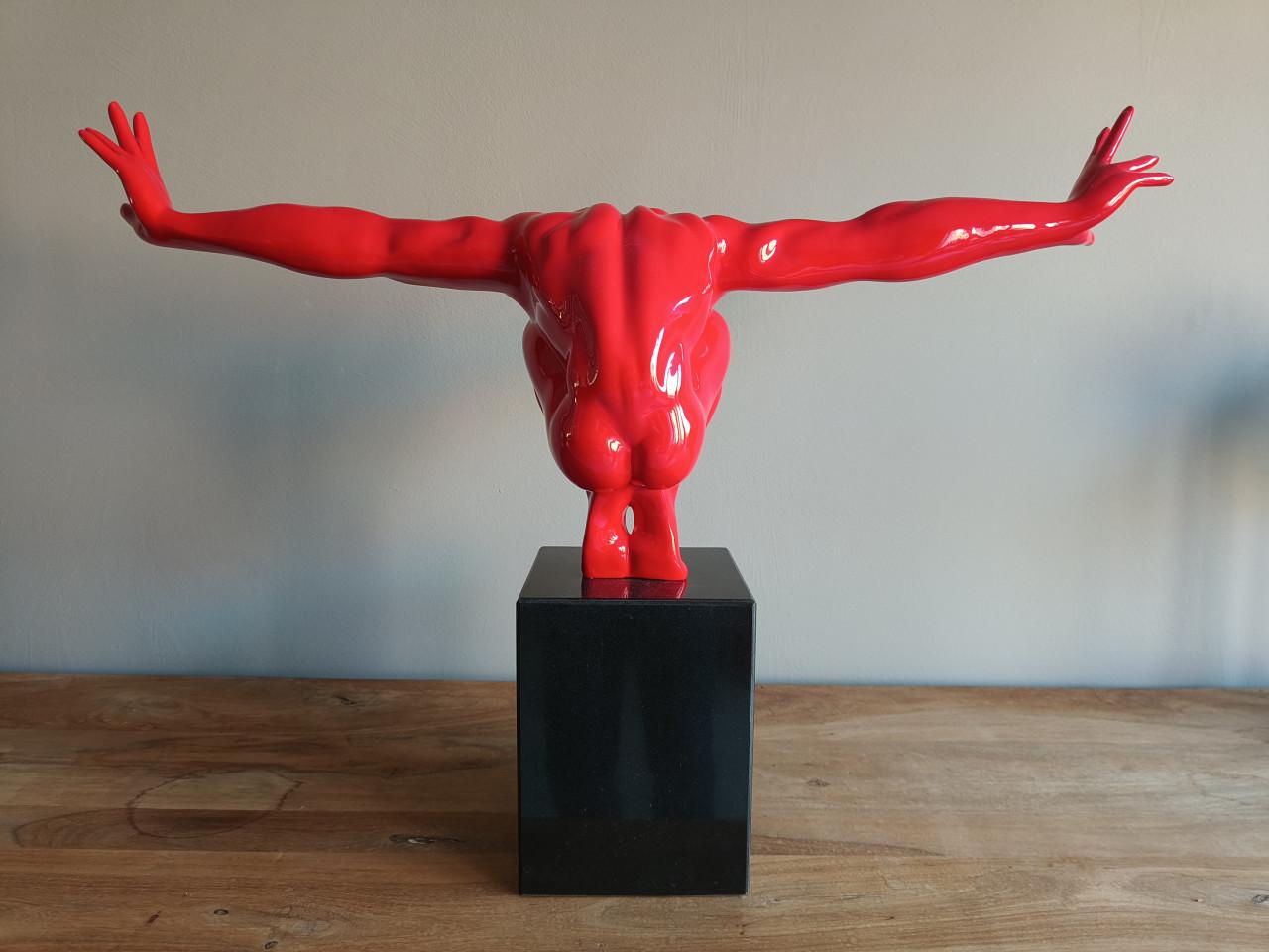 Beeld zwematleet / duiker