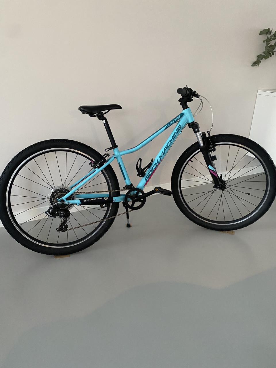 Mountainbike Rock Machine