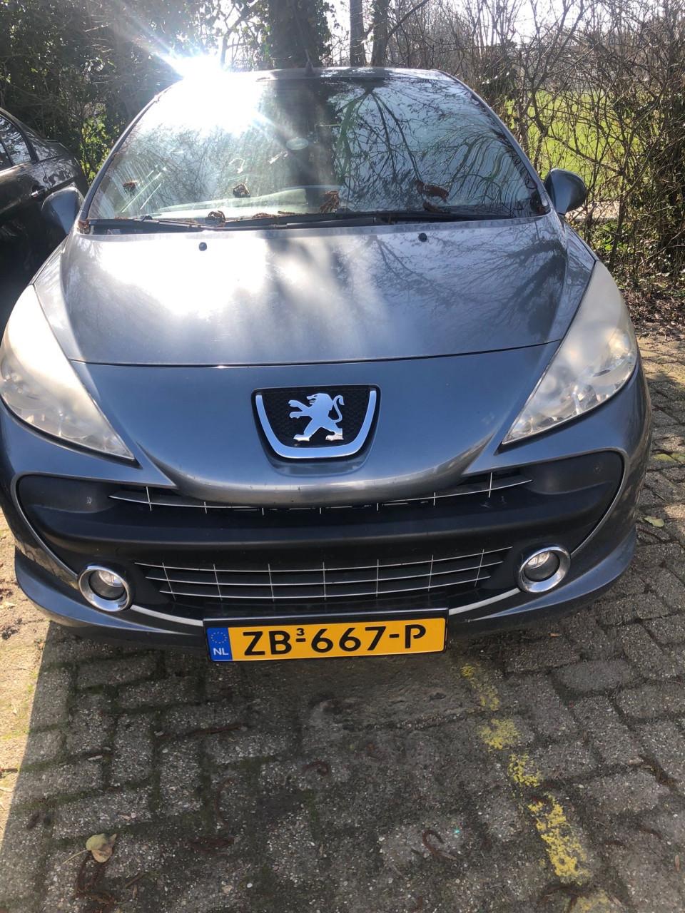 Peugot 207