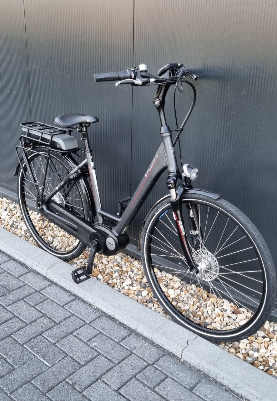 Pegasus Siena E7f Bosch 500Wh 50cm