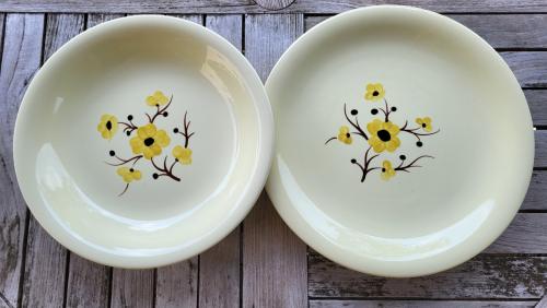Set v 2 vintage Franse schalen Salins servies Catherine