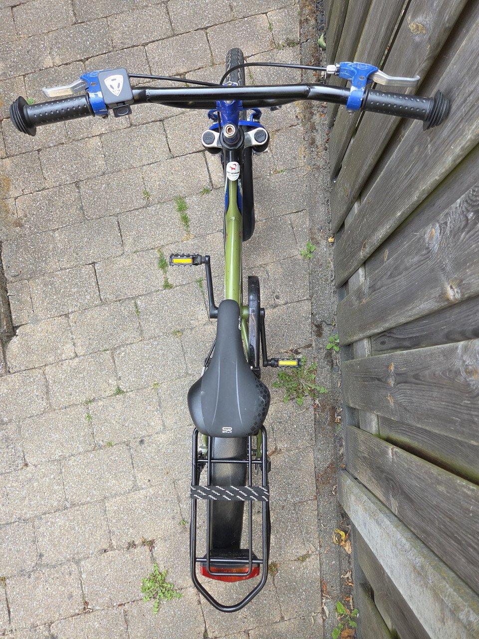 Batavus Snake 20 inch