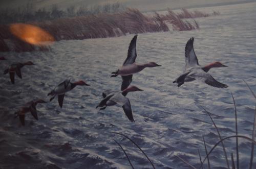 Maynard Reece art-print 1972 Eenden in zeer goede staat