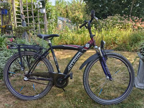 Batavus Snake 24 inch kinderfiets met 3 versnellingen