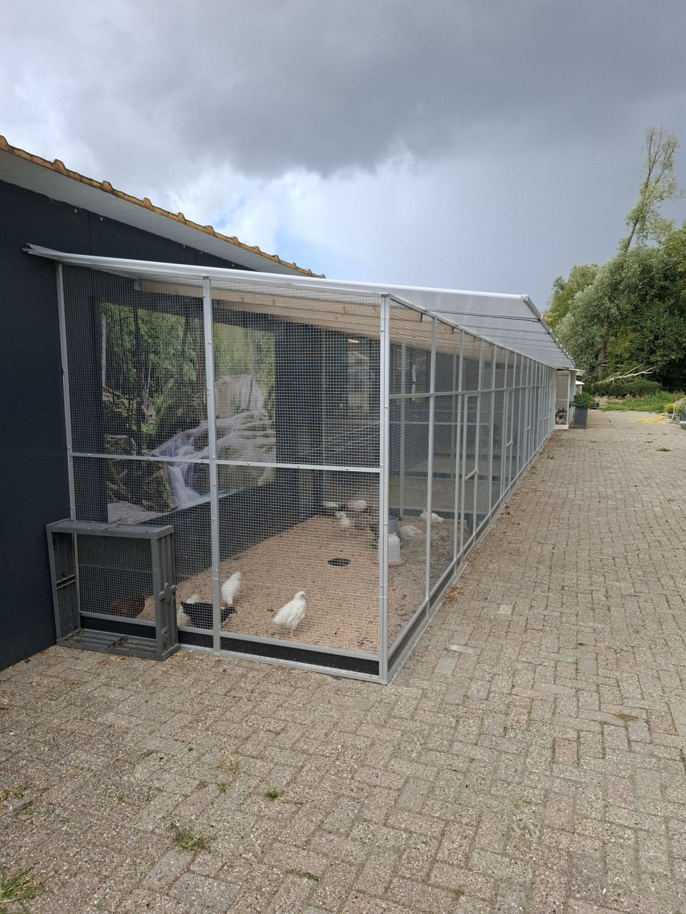 3 dolle dierendagdagen bij DIERTOTAALARJO...