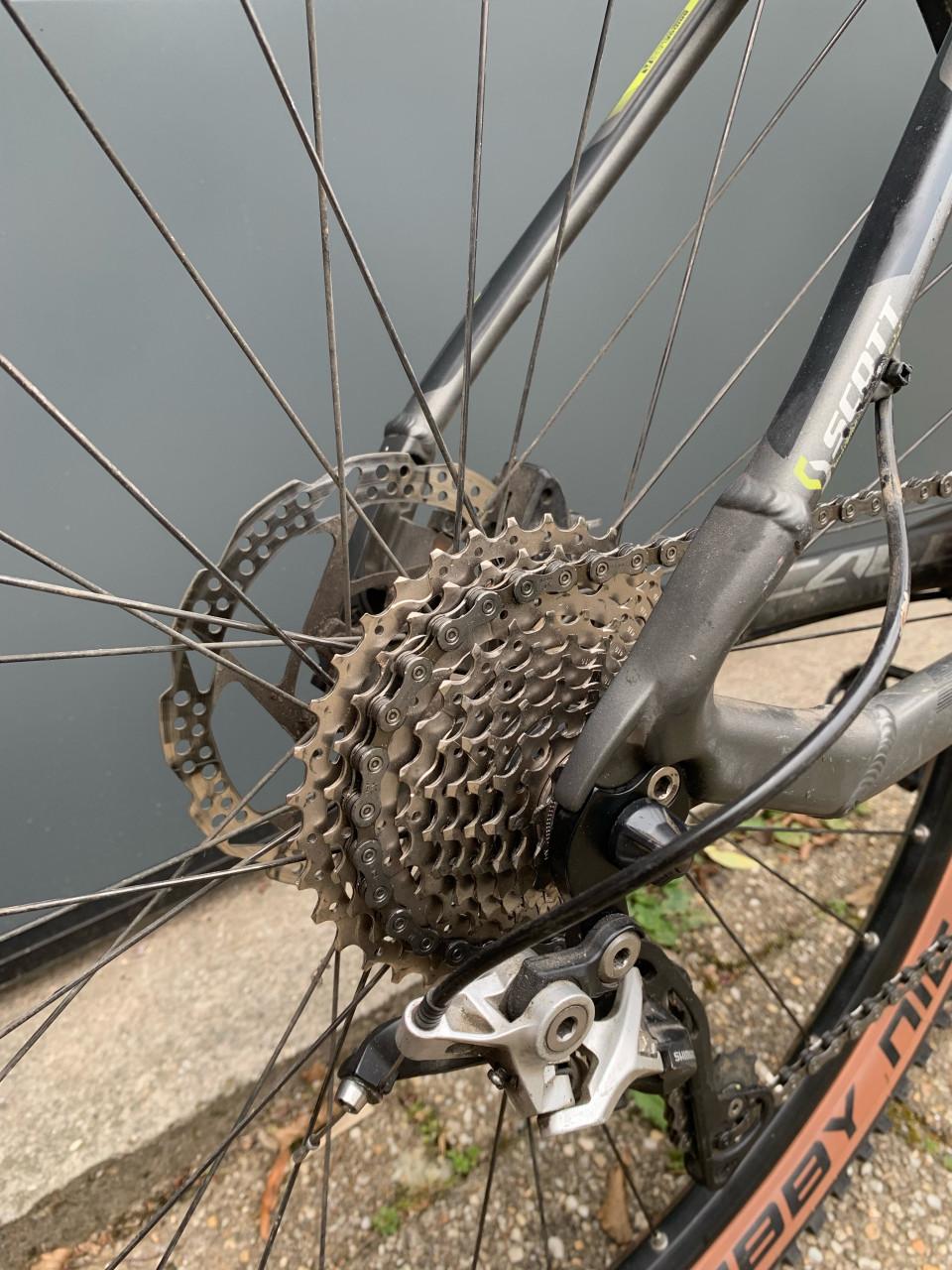 Scott scale 950 29 inch