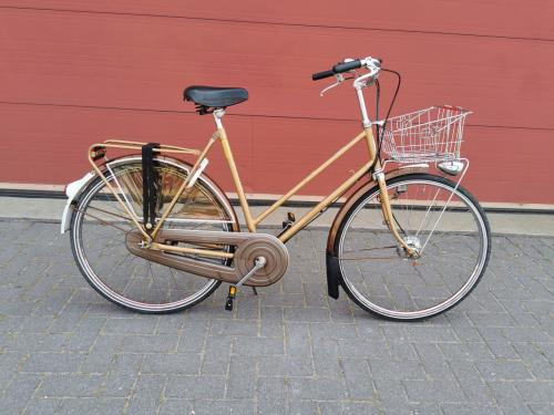LIVINGSTONE JAREN 70 DAMESFIETS