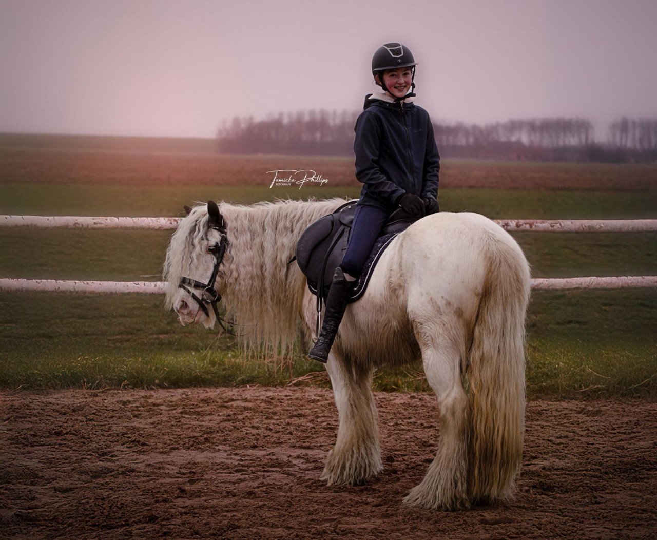 Lieve sprookjespony