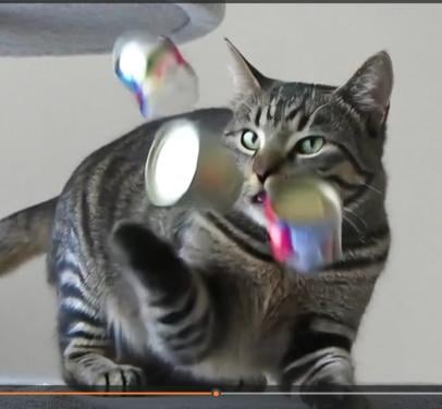 Herinnering: Je dier nog even tot leven brengen - korte animaties