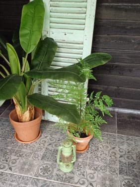 Brocante luiken