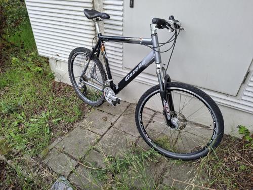 Diverse fietsen mtb, vintage opa fiets, , beachcruiser en singlespeeds